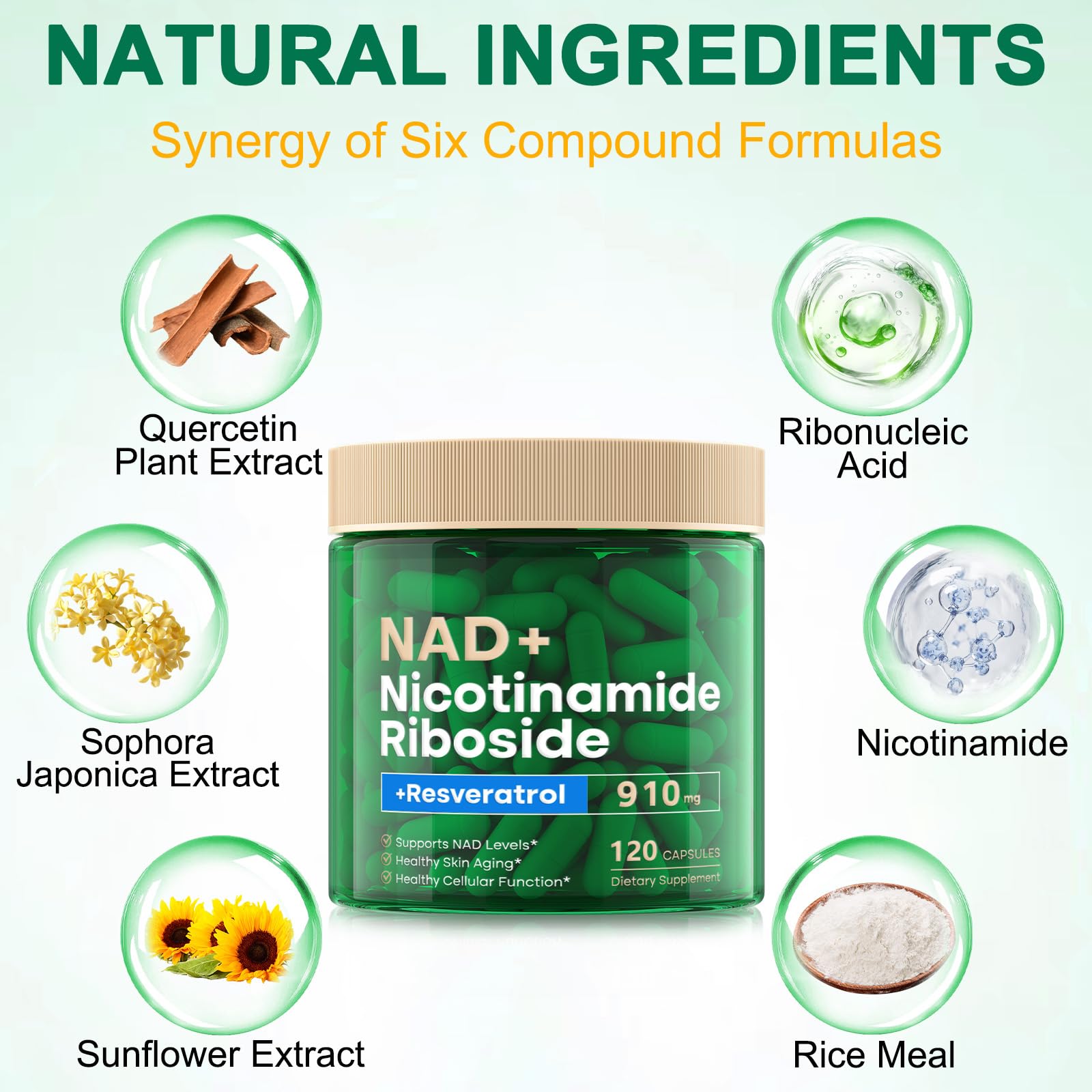RHBESTOK NAD cápsulas diarias: práctico impulso de energía y función cerebral