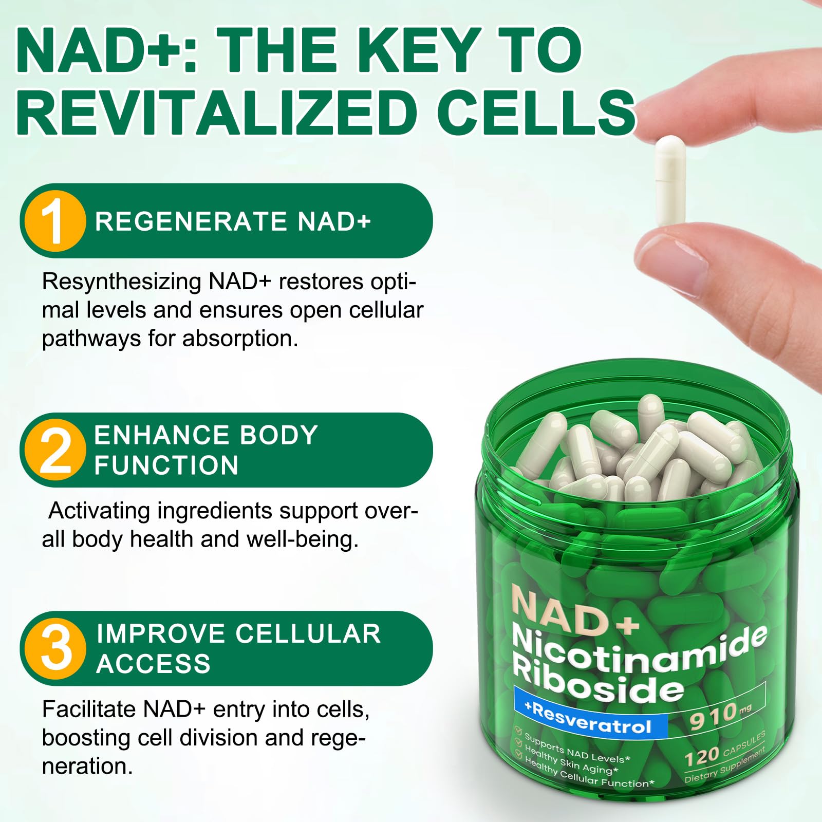 RHBESTOK NAD ingredientes: Resveratrol y Quercetina para antioxidante apoyo