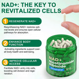 RHBESTOK NAD ingredientes: Resveratrol y Quercetina para antioxidante apoyo