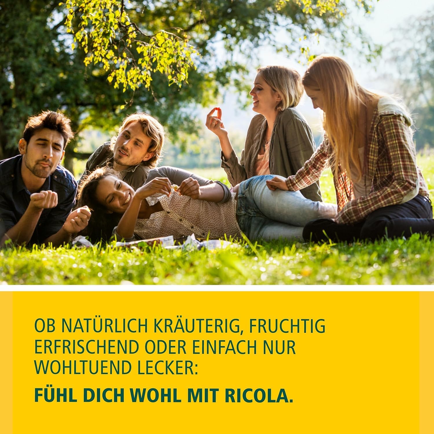 Hierbas suizas en su entorno natural, Ricola cuida la pureza de la mezcla