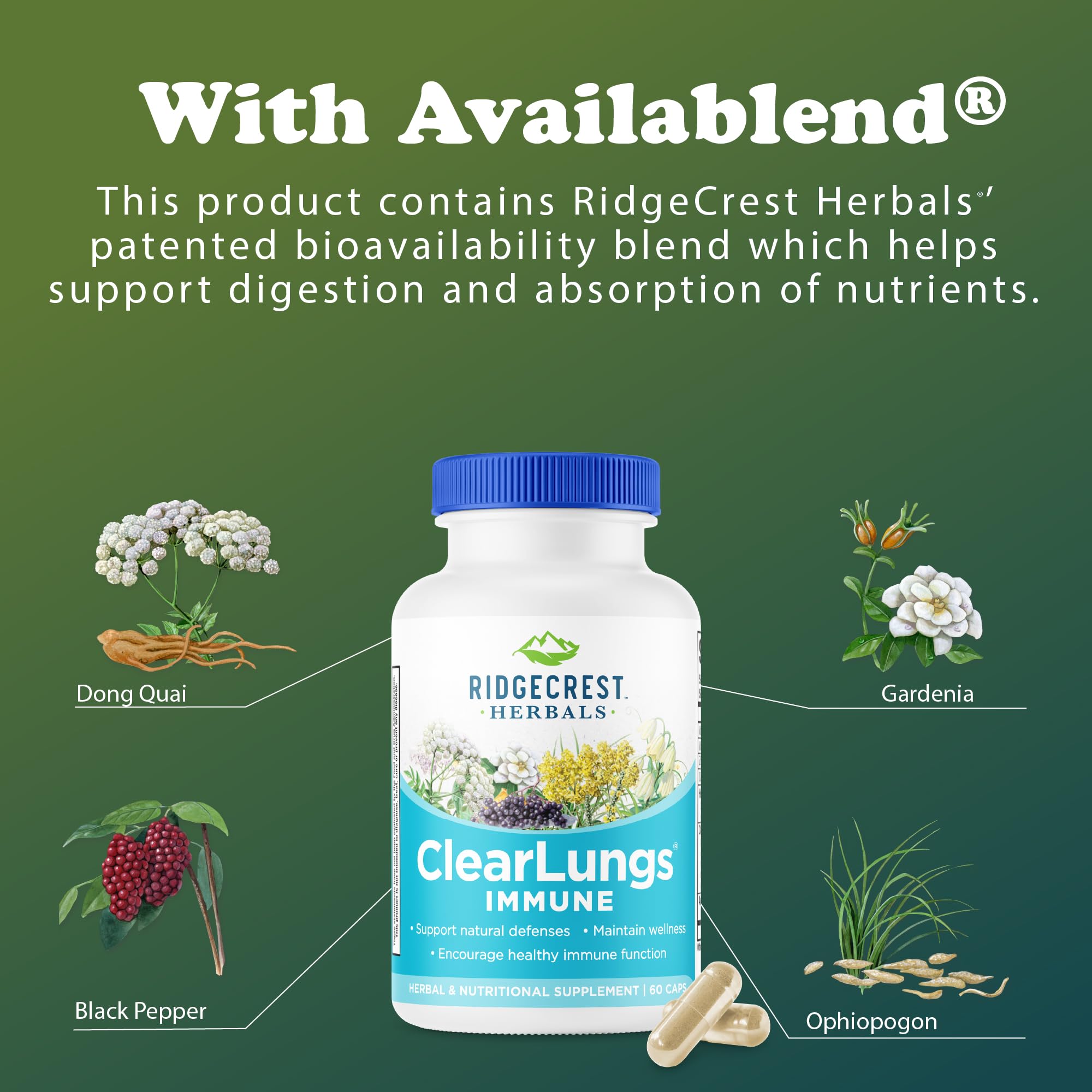 Envase de RidgeCrest ClearLungs Immune con 60 cápsulas veganas