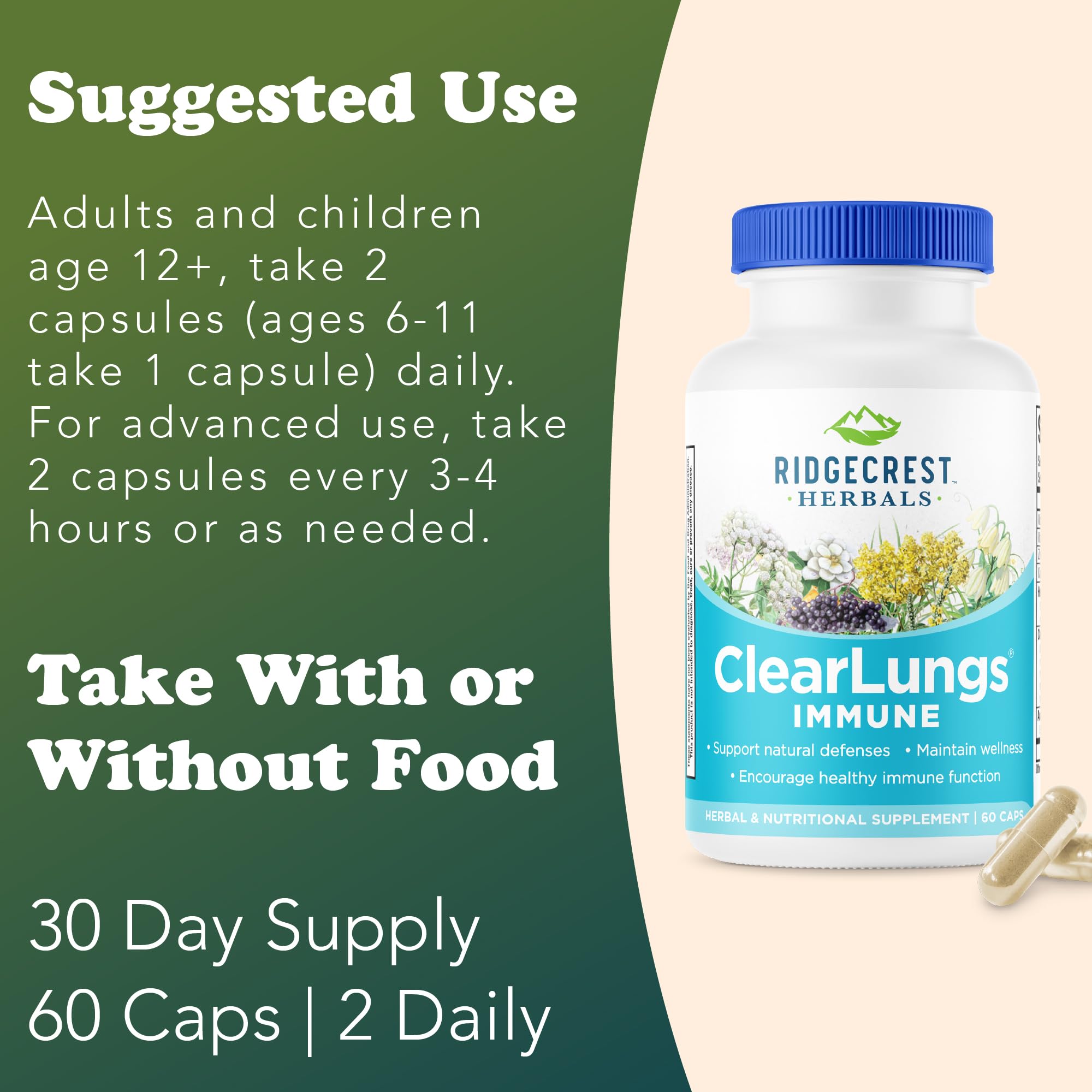 Extracto de andrographis en ClearLungs Immune para vitalidad estacional