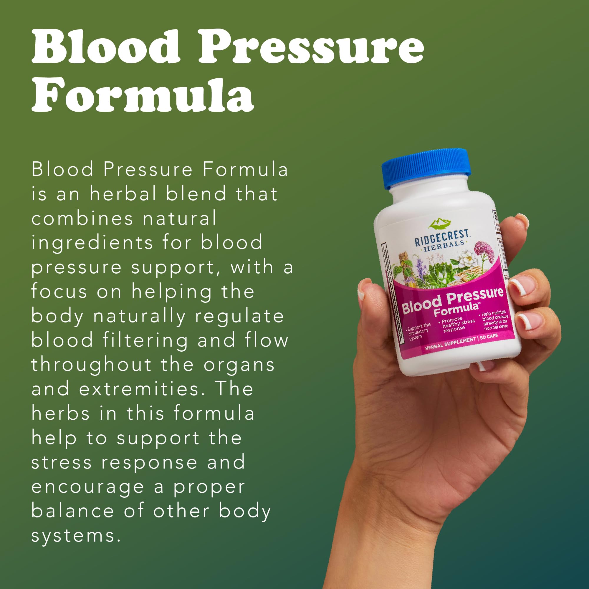 RidgeCrest Herbals Blood Pressure Formula, etiqueta clara con beneficios potenciales