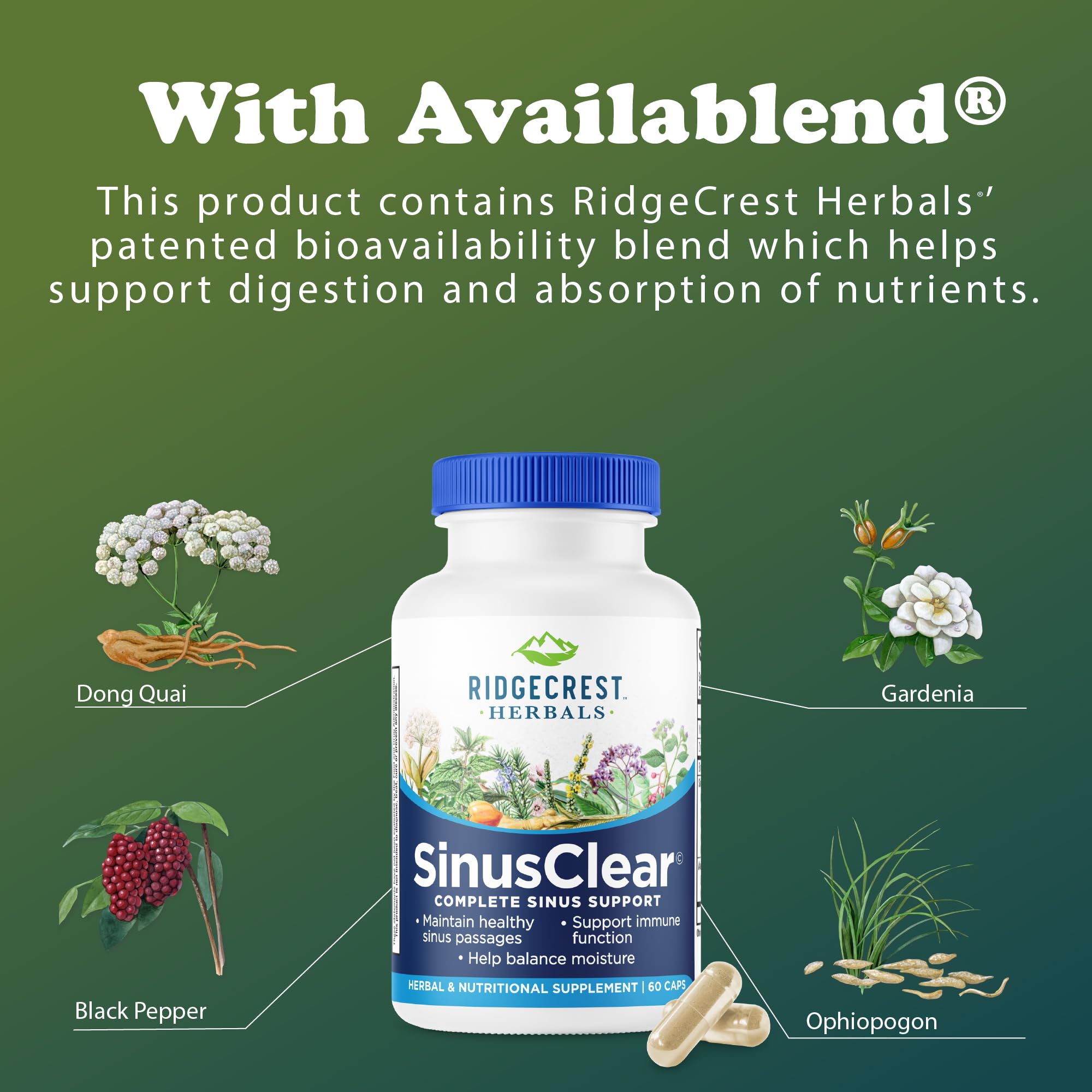 RidgeCrest Herbals SinusClear etiqueta diseñada para lectura y uso responsable.