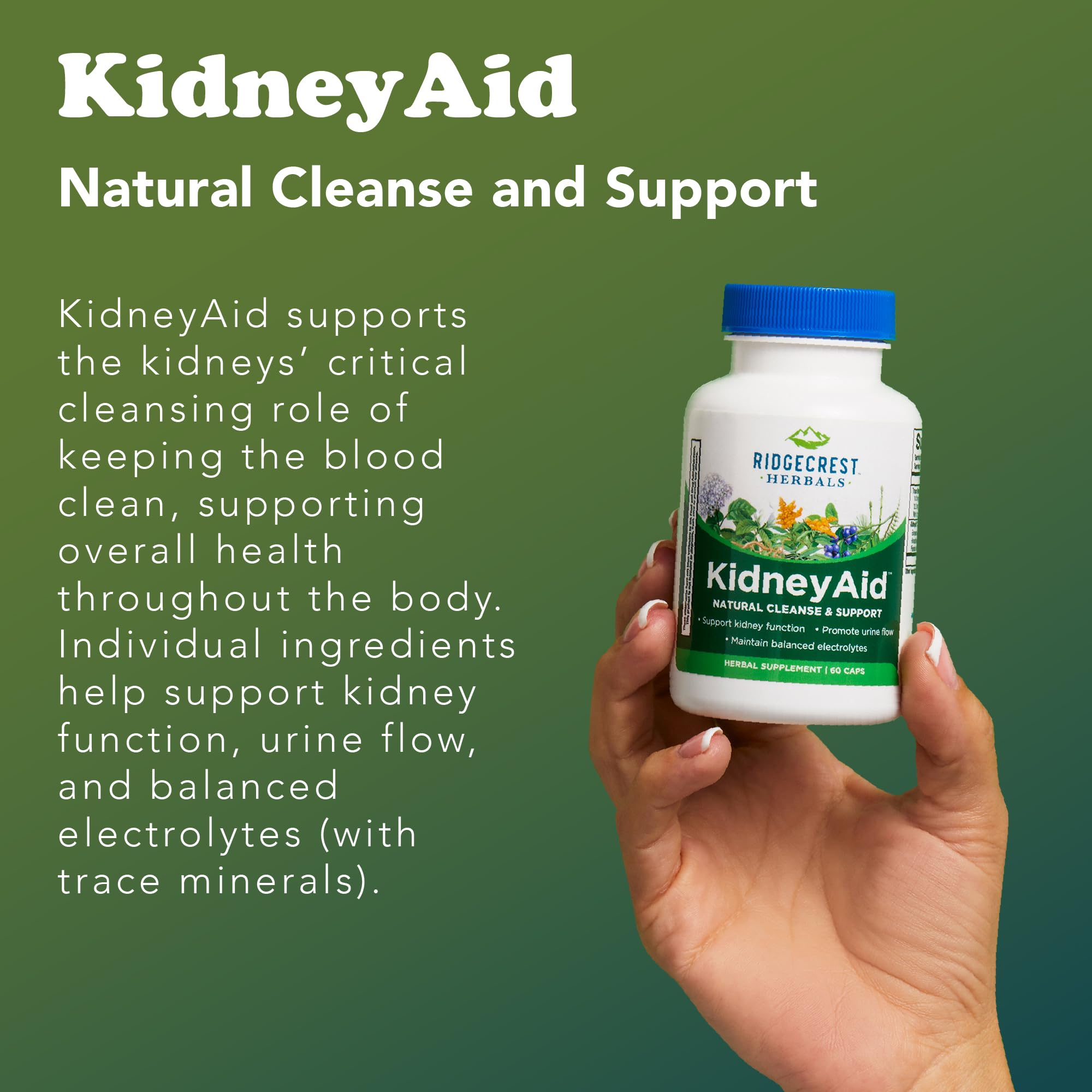 Ridgecrest KidneyAid: bayas de enebro para limpieza y apoyo renal