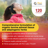 RLC Labs a-Drenal, etiqueta de ingredientes clave y calidad de la fórmula.