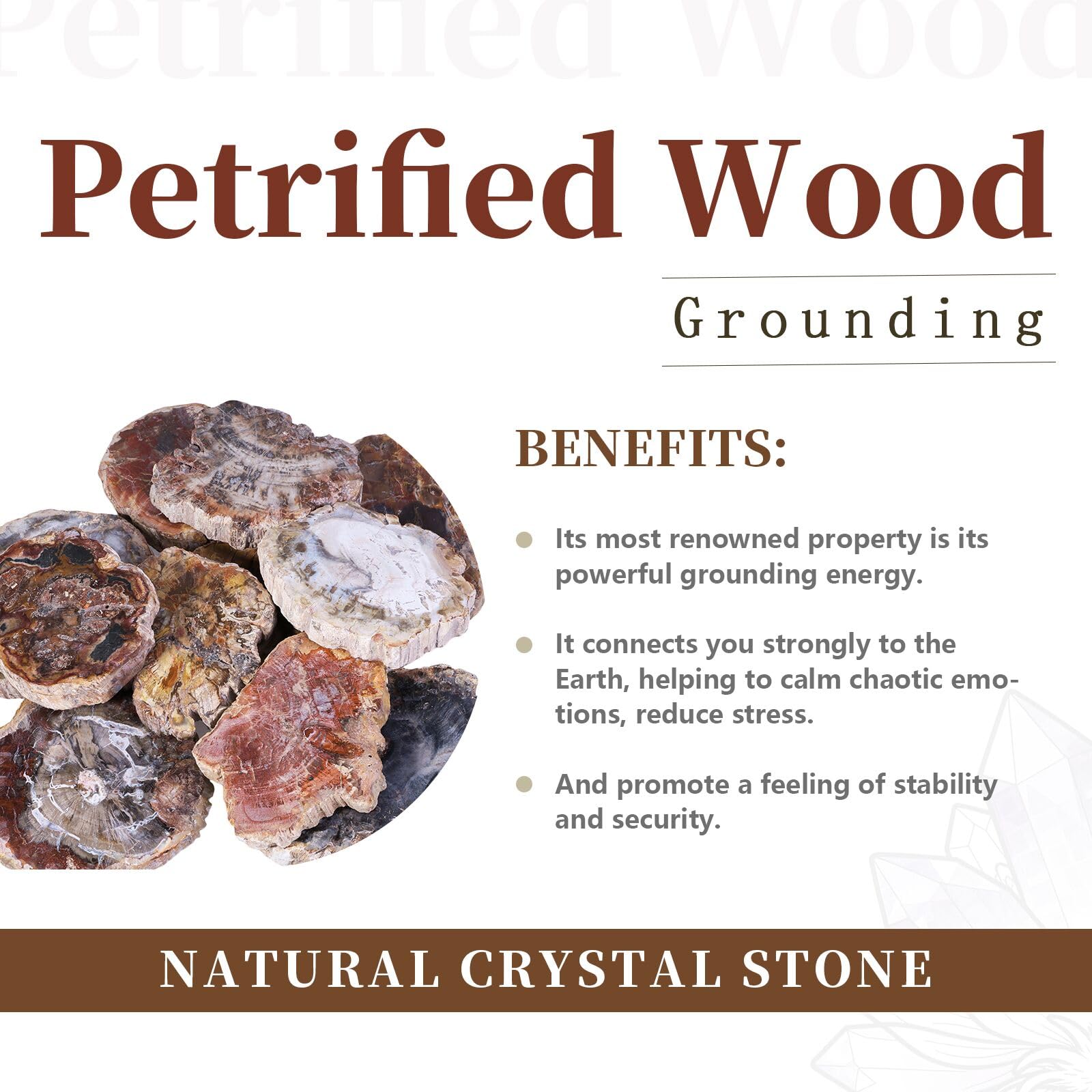 Rockcloud piedra palma madera petrificada uso diario para meditación y enfoque