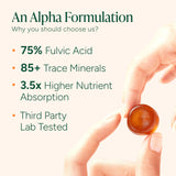 ROOT LABS gomitas Shilajit, sabor tamarindo para merienda sabrosa.