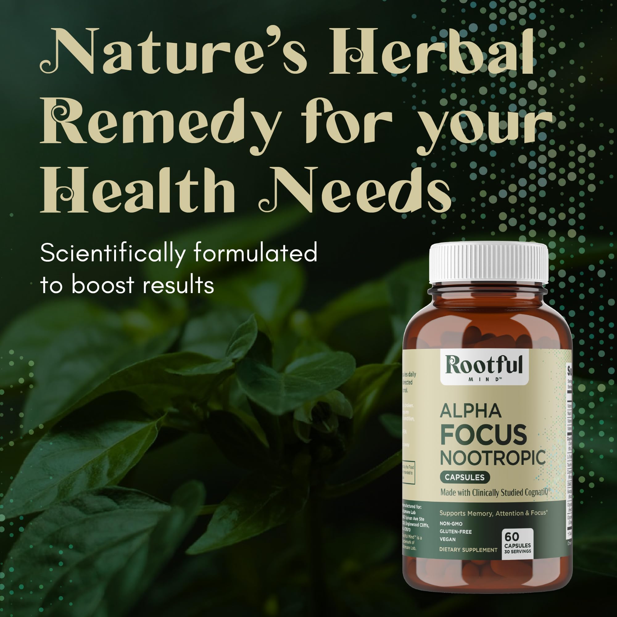 Ingredientes clave de Rootful Mind Alpha Focus resaltan soporte cognitivo.