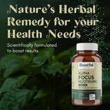 Ingredientes clave de Rootful Mind Alpha Focus resaltan soporte cognitivo.