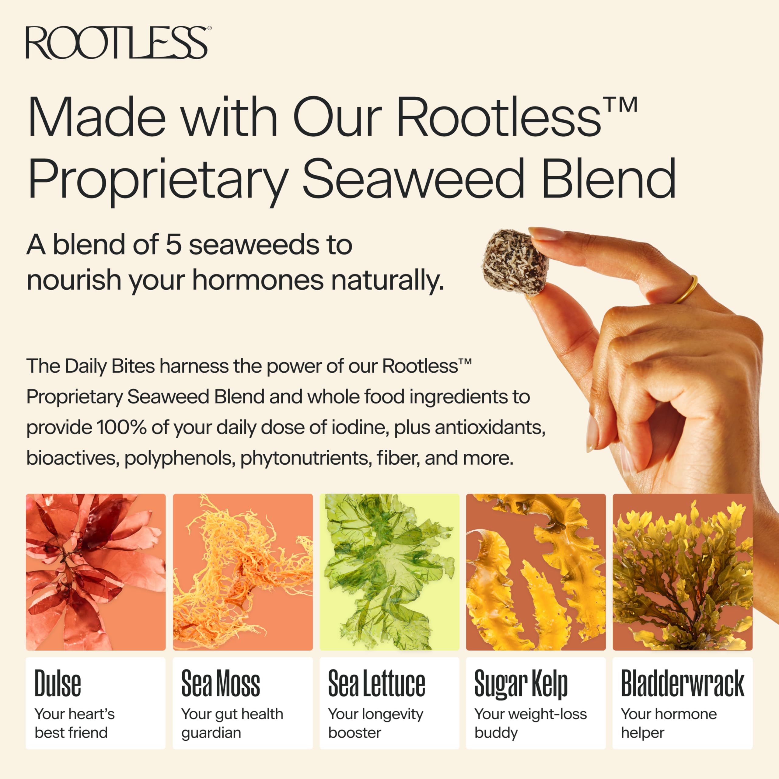 Rootless sin-azucar-adicional: snack limpio sin azúcares añadidos.