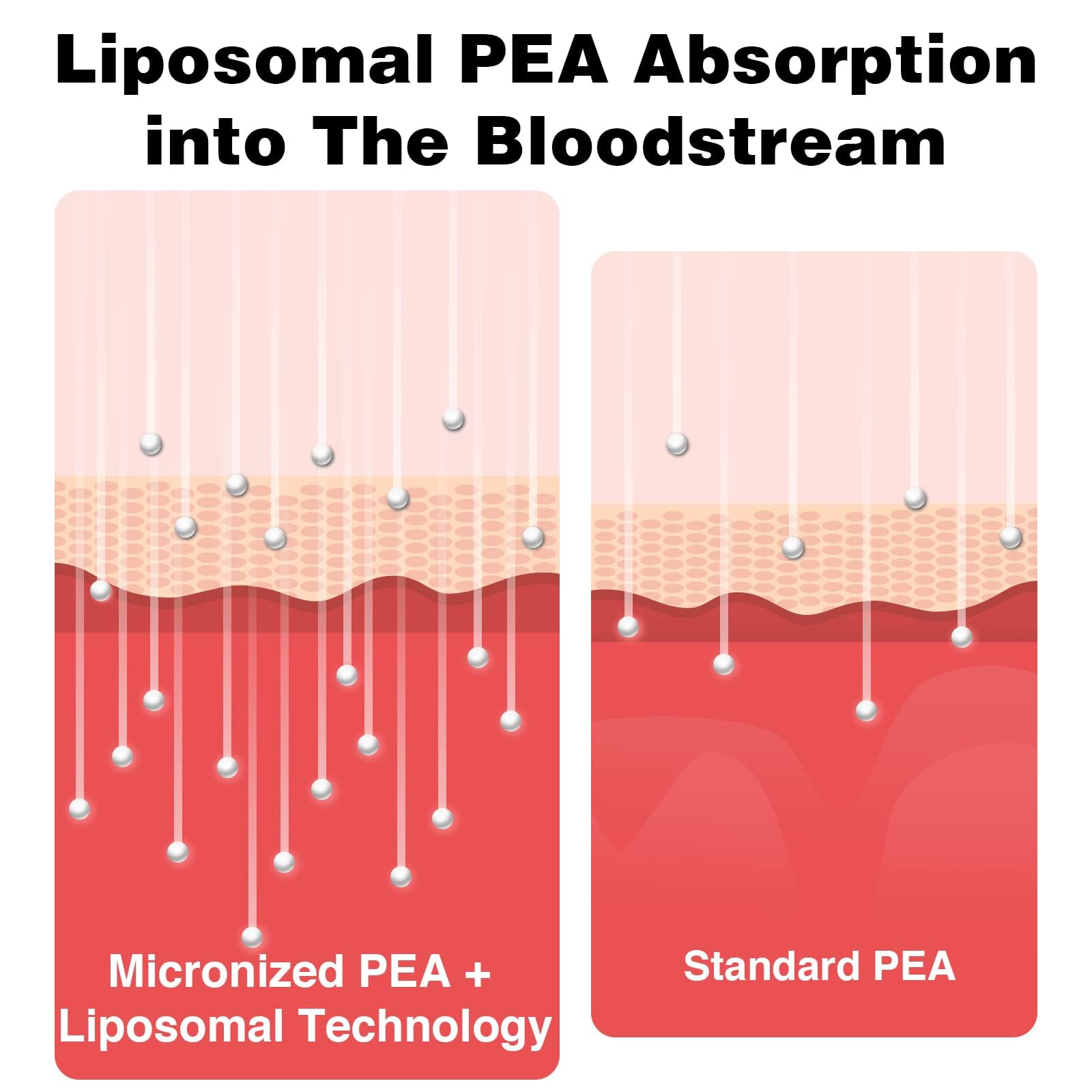 Botella cerrada de Rosmolo liposomales PEA con luteolina, dosis diaria orientativa.