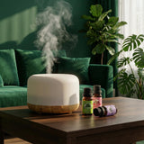 SACATR aceites esenciales citronela en botella para ambientar y aroma fresco