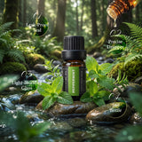 SACATR aceites para difusor, para aromatizar espacios.