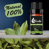 Salenda Aceite Laurel, difusor en uso para ambientar espacios