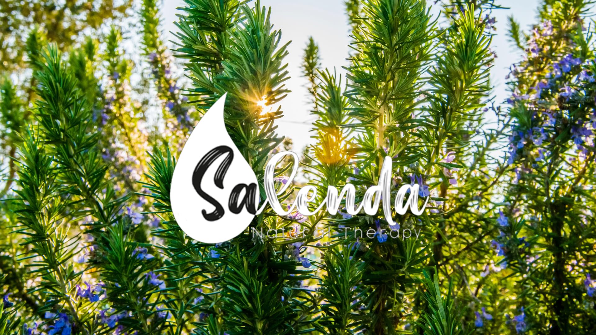 Salenda aceite de romero uso diario, cuidado personal sin aditivos.