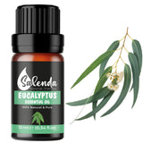 Salenda eucalipto aceite botella 10ml, aroma puro para aromaterapia diaria.