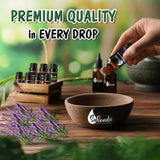 Salenda Lavanda: baño relajante con aroma floral relajante