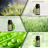 SALKING aceites de primavera listos para uso en difusor y ambiente