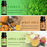 Salking sidra de manzana: aroma afrutado para difusor y hogar cálido.