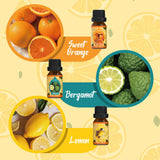 SALKING Citrus Burst Limón – botella para difusor con energía cítrica.