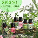 SALKING frascos ámbar para aceites de primavera listos para uso en difusor