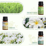 Salubrito aceites primavera brisa marina para difusor y ambiente fresco