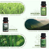 Salubrito Naturaleza Césped Fresco: aroma verde y vigorizante para difusor