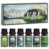 Salubrito Naturaleza Pino Bosque: aroma para difusor que evoca un bosque sereno