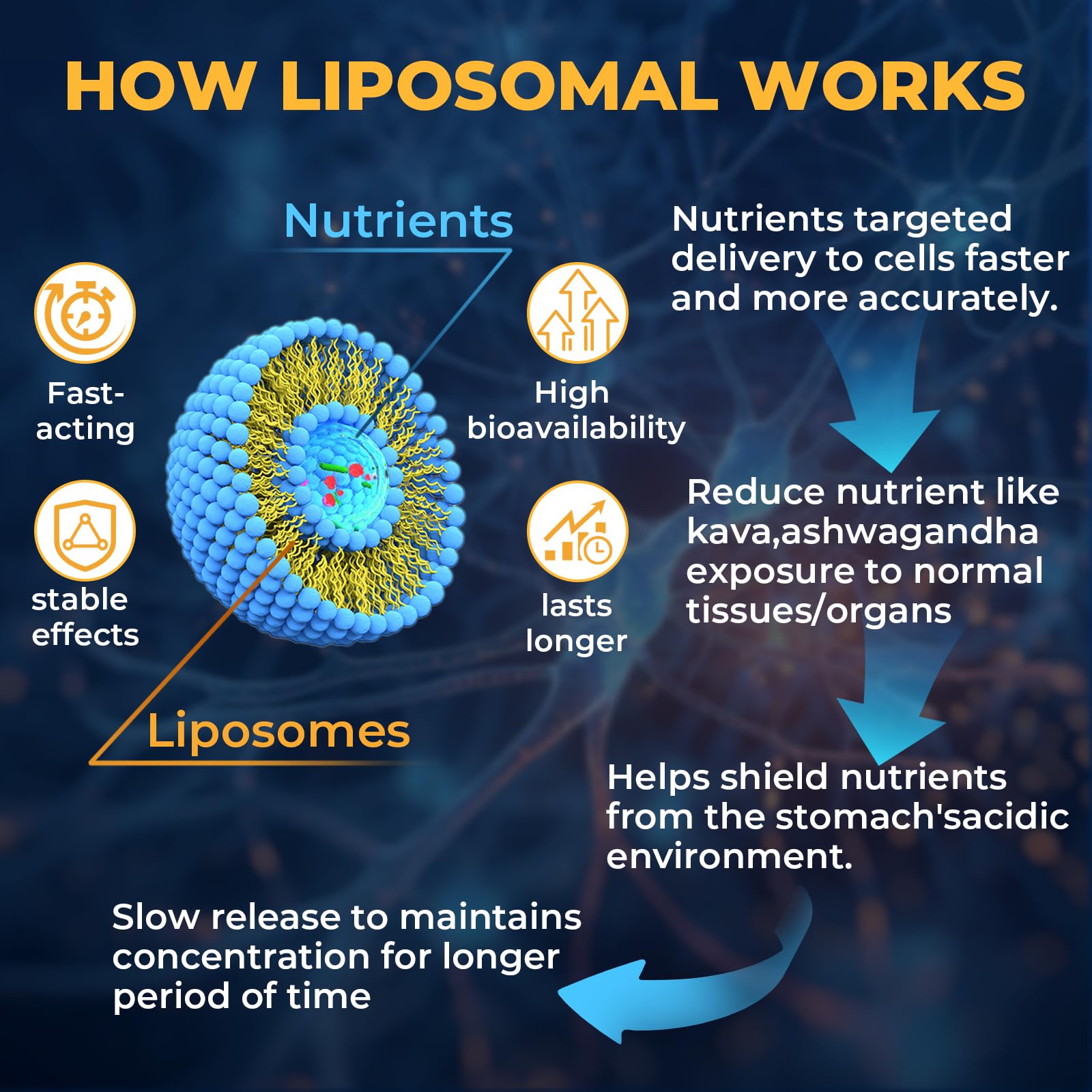 Capsulas liposomales de Samarogen Kava, mejor absorción para calma sostenida.