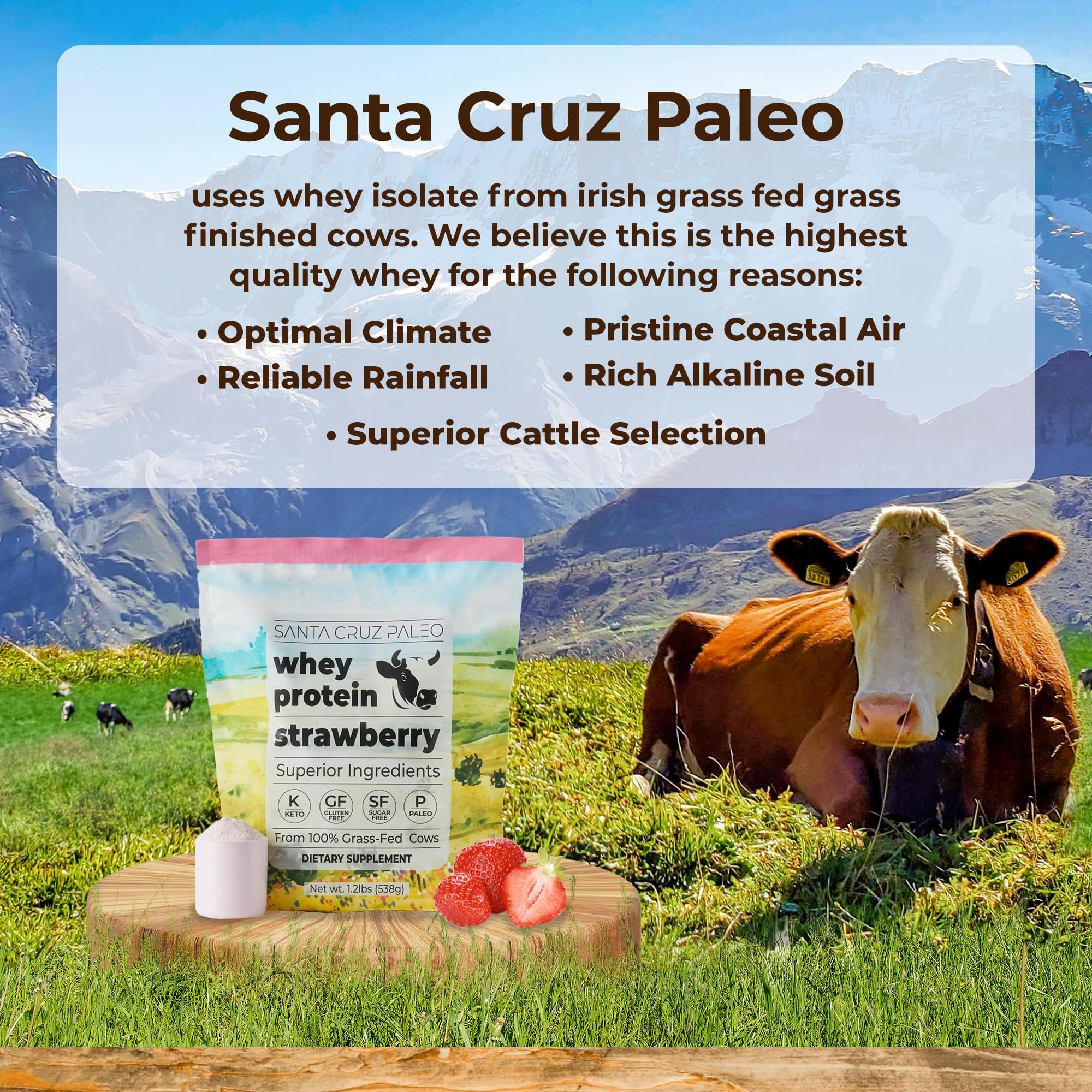 Santa Cruz Paleo Whey Fresa batido cremoso tras entreno