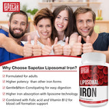 Sapotax Liposomal Fe beneficio de absorción potencial.