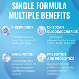 SatorSeed prebiótico de fibras para bacterias beneficiosas del intestino.