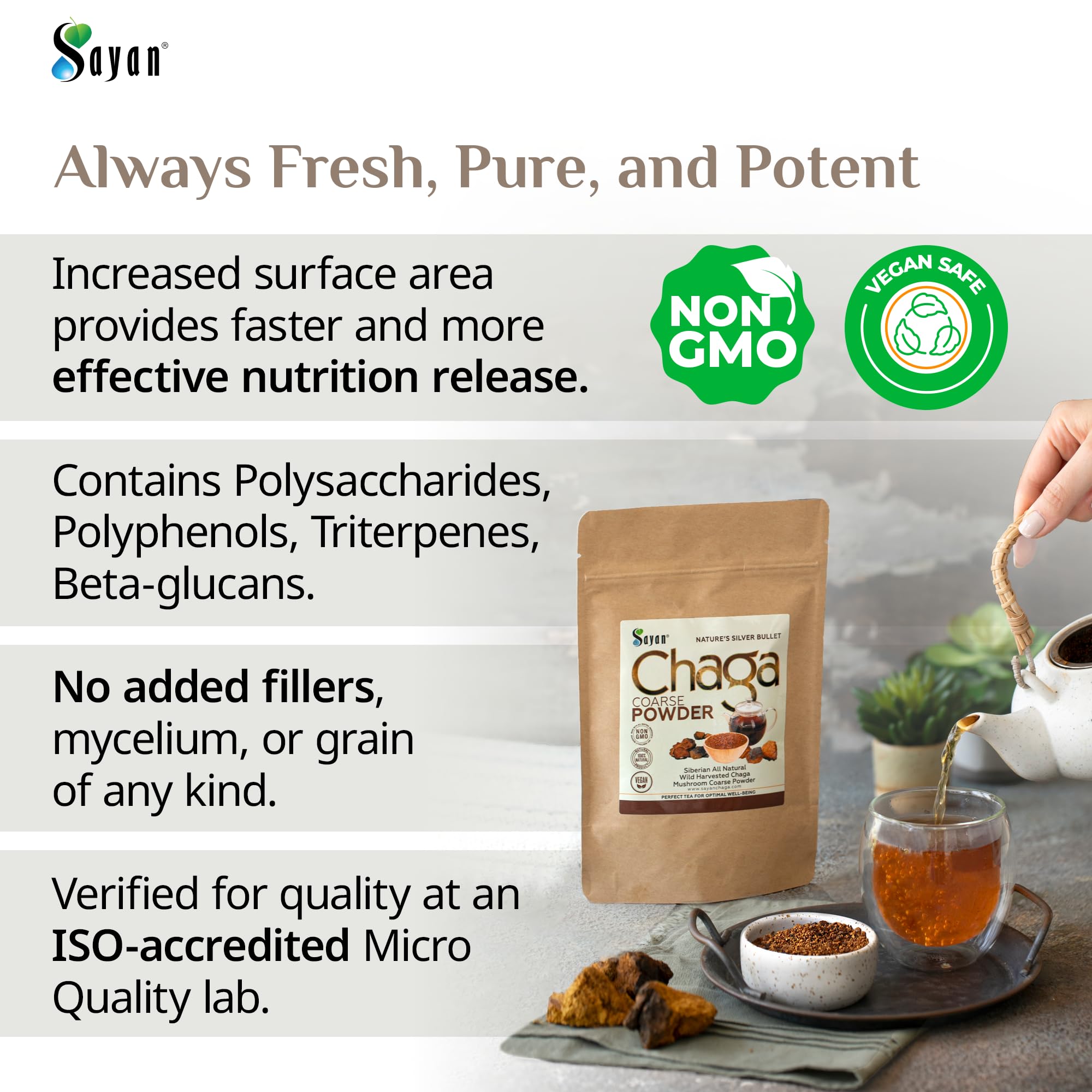 Sayan Chaga polvo crudo bosque silvestre, origen natural