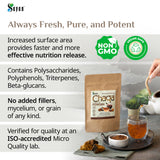 Sayan Chaga polvo crudo bosque silvestre, origen natural