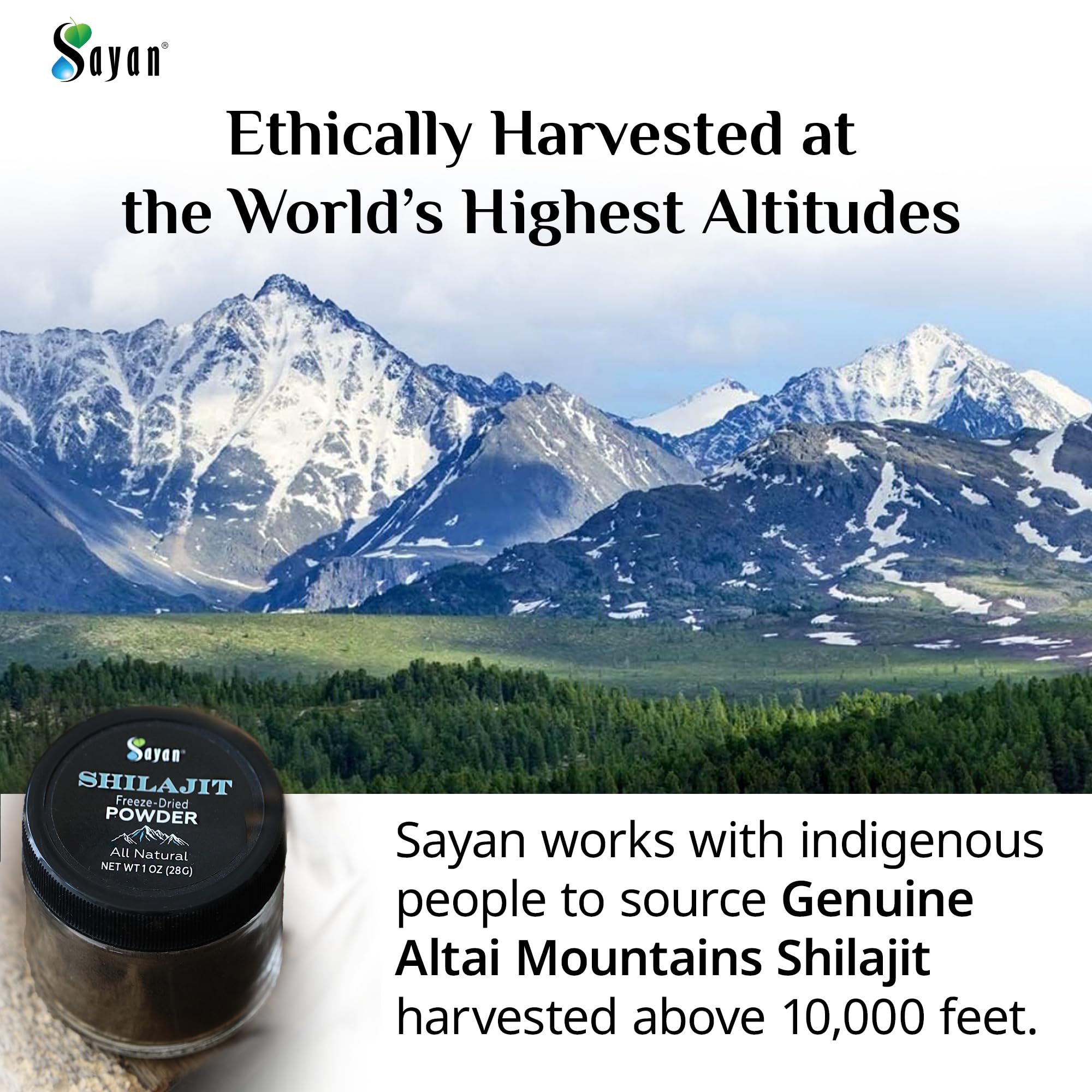 Textura oscura y fina de Shilajit, lista para bebidas.