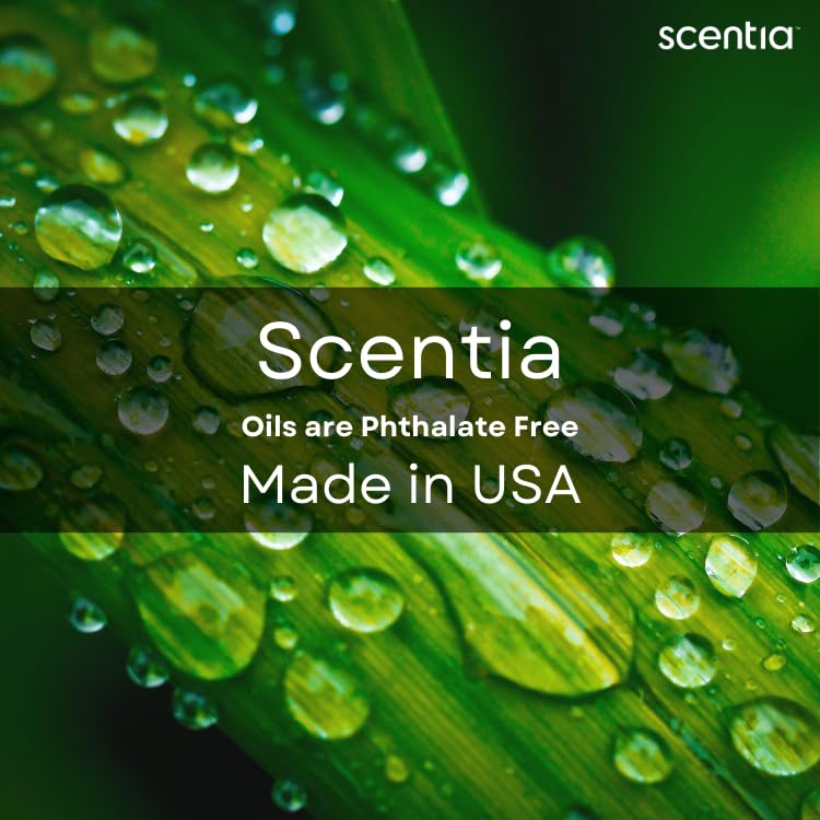 Aroma navideño de Scentia Thanksgiving Blend para ambientes festivos.