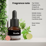 Scentluxe Hotel: tiras de prueba profesional para percibir evolución del aroma.