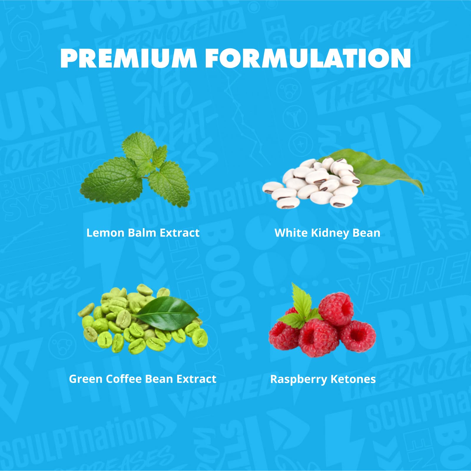 Sculpt Nation Burn PM: etiqueta destaca cetonas de frambuesa y café verde para bienestar.