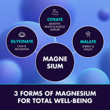 Secret Element apoyo a la relajacion nocturna con magnesio