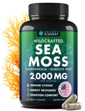 Secret Element Sea Moss Capsules botella para una rutina diaria de bienestar.