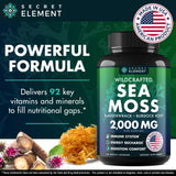 Secret Element Sea Moss Capsules primer plano de ingredientes naturales para dieta equilibrada.
