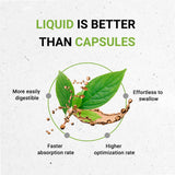 Secrets of the Tribe, gotero con extracto de hoja de diente de león para consumo diario.