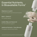 Seed DM-02: cápsulas para absorción intestinal y soporte al colon.