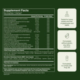 Seed DM-02: verificación de calidad y pruebas de seguridad.
