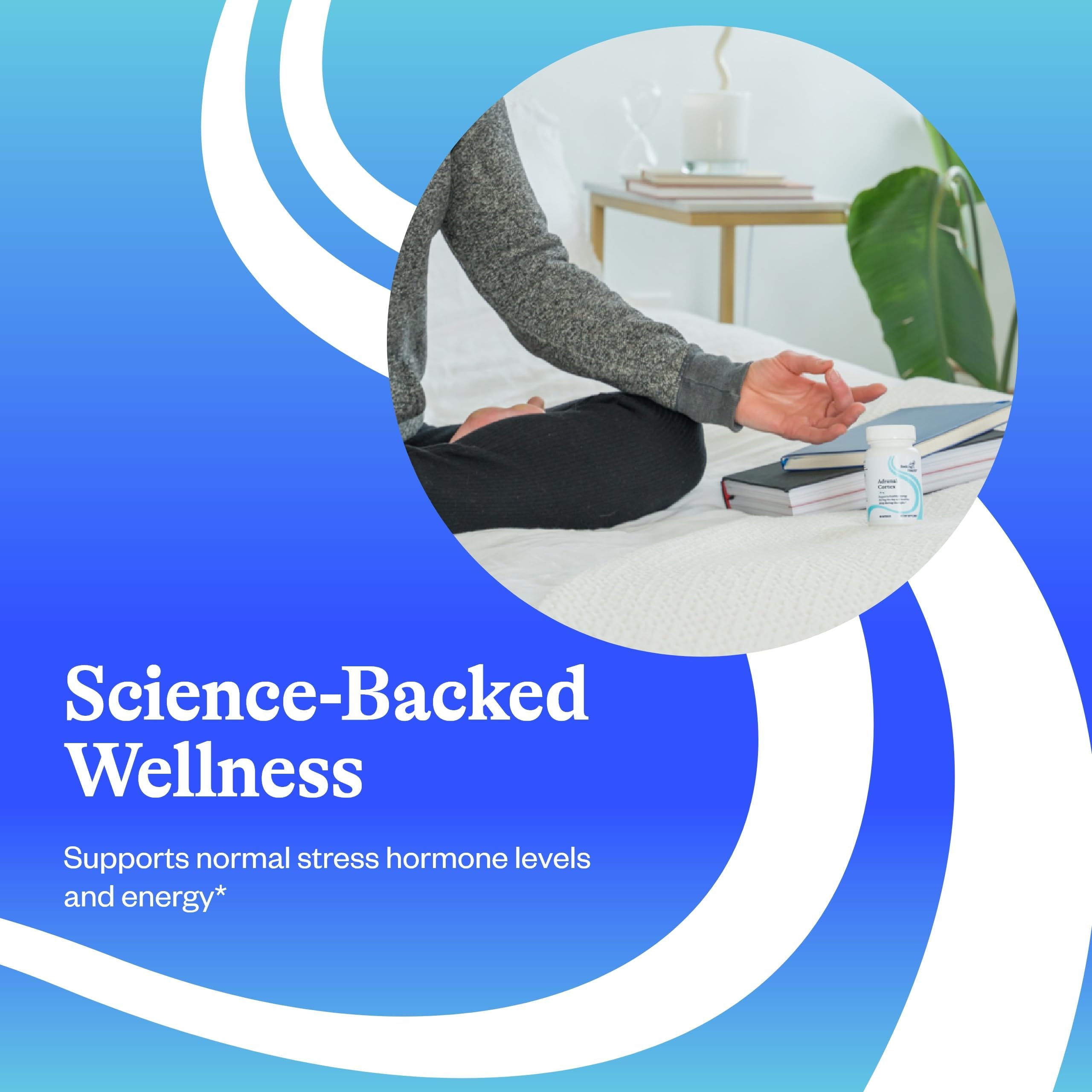 Pack de cápsulas de Seeking Health Adrenal Cortex para soporte adrenal