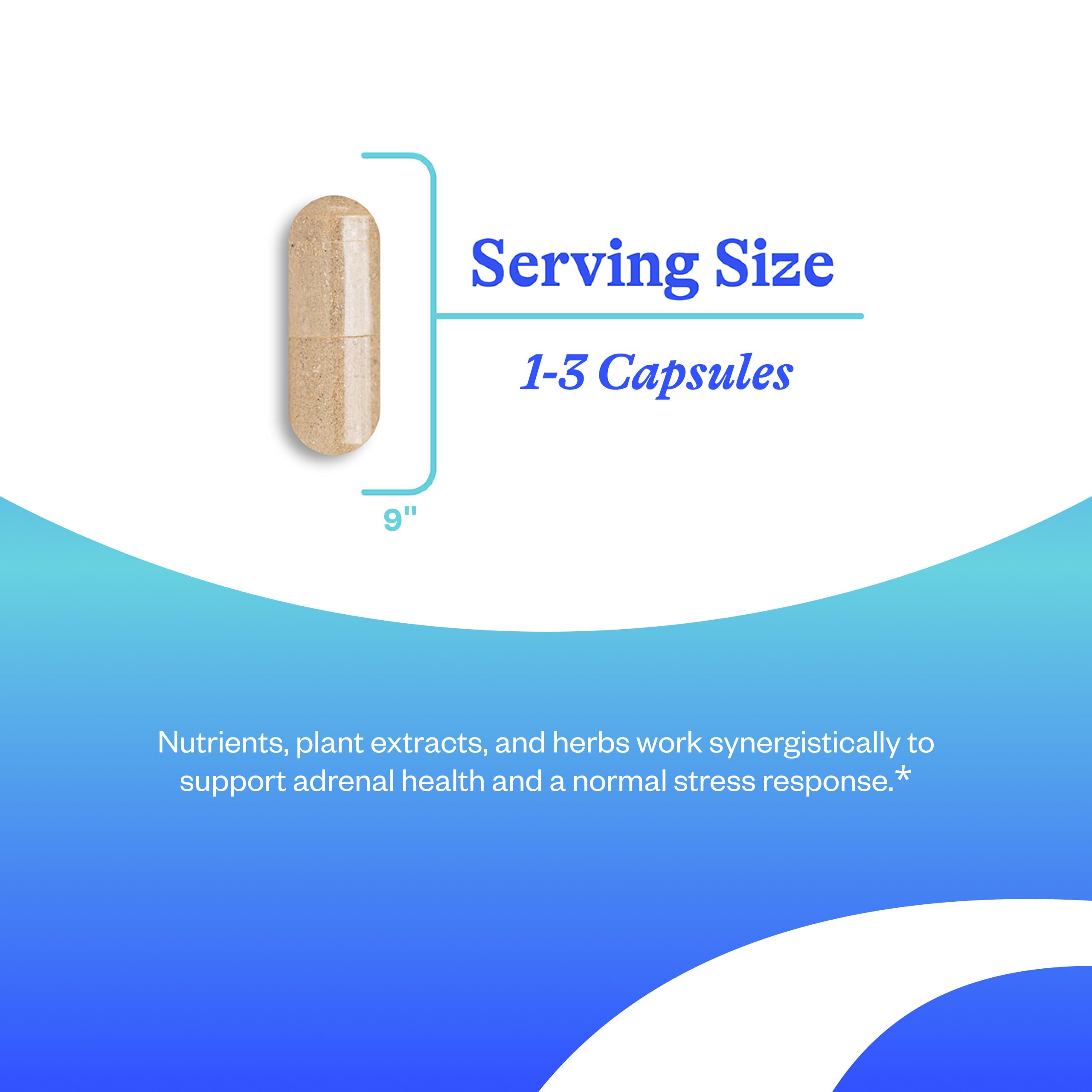 Seeking Health Stress Nutrientes – etiqueta frontal: destaca adaptógenos y vitaminas