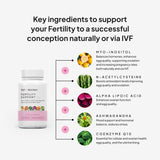 SELF NUTRITION Fertility Support, tabla de ingredientes: nutrientes clave para la salud reproductiva.