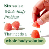 Semaine Stress Less Gummy, dosis diaria, apoyo a la resiliencia ante el estrés.