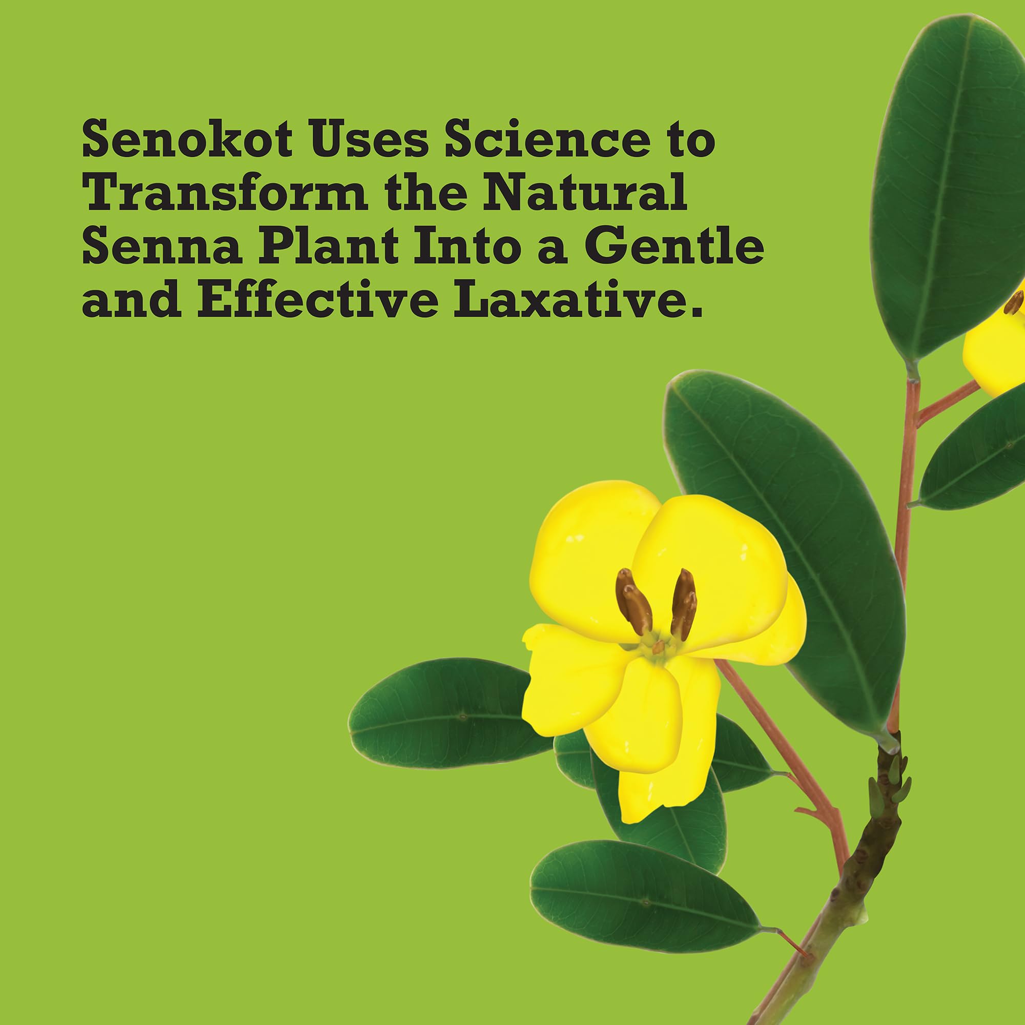 Senokot Regular Strength información del producto, consulta rápida para uso responsable.